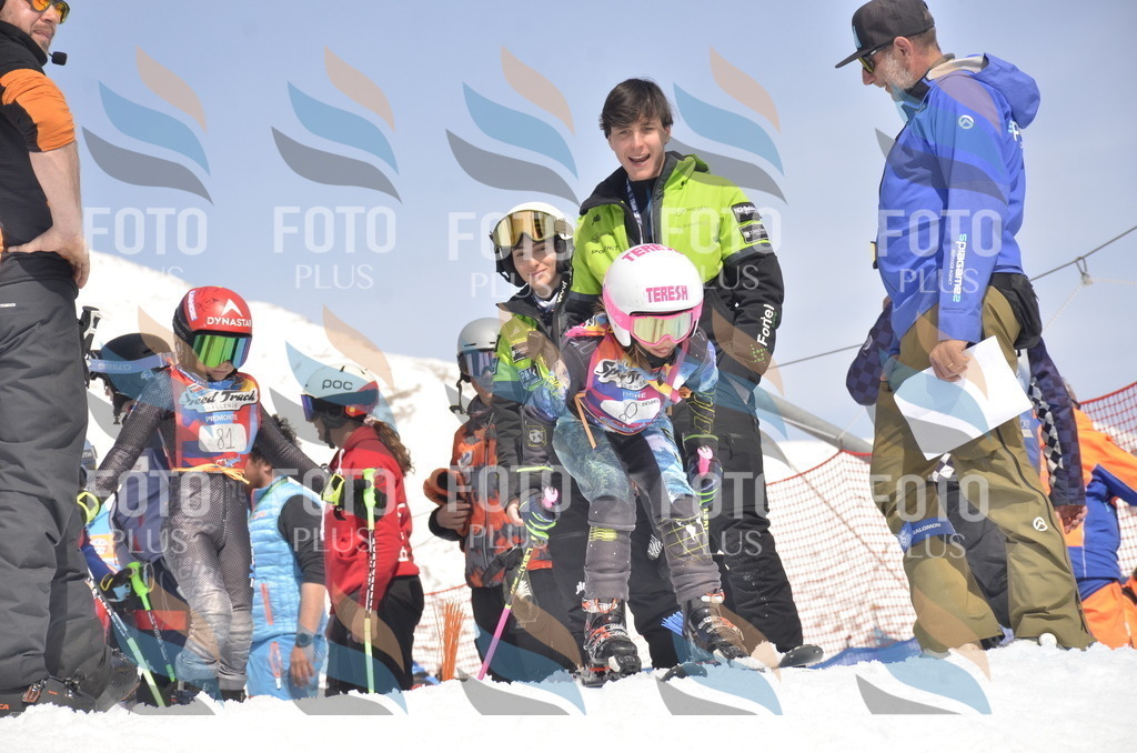 _ELE9204 | holidayphoto