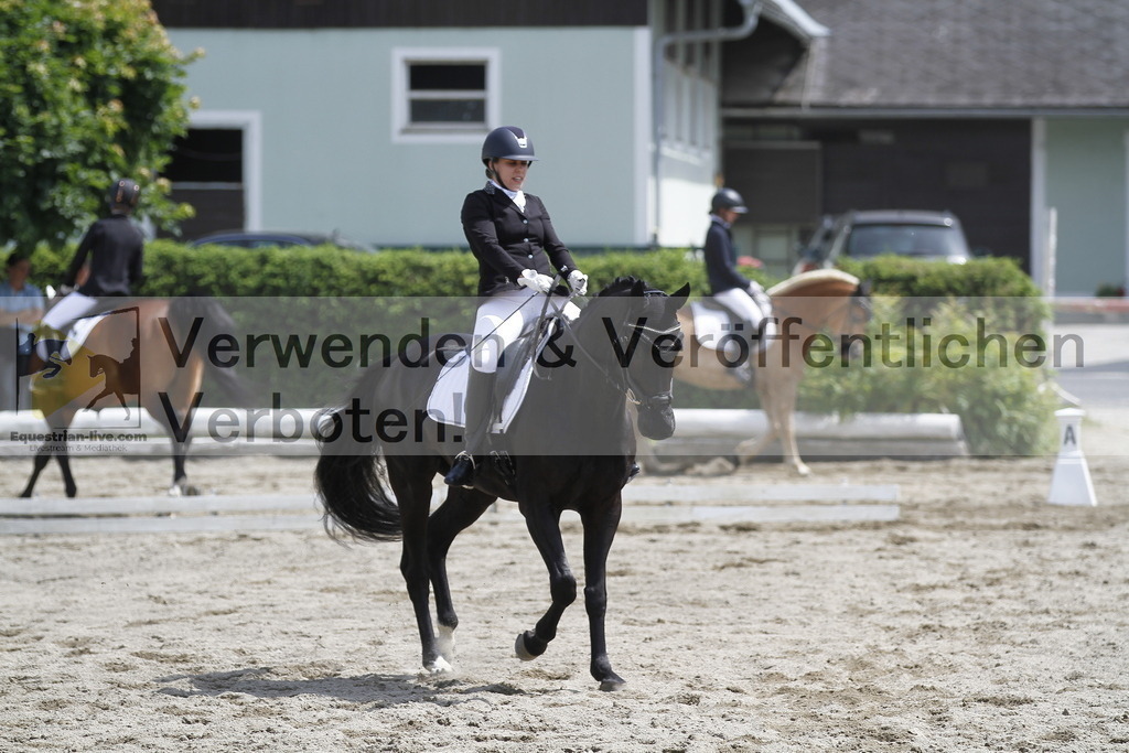 _MG_8503 | equestrian-live-com