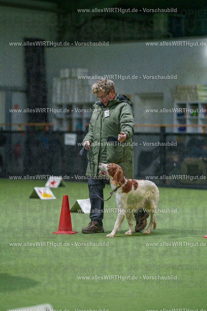 7R500147 | Professionelle Tierfotografie in Mönchengladbach von Daniel Wirth (allesWIRTHgut). Liebevolle & natürliche Bilder von Hunden & Katzen für unvergessliche Erinnerungen.