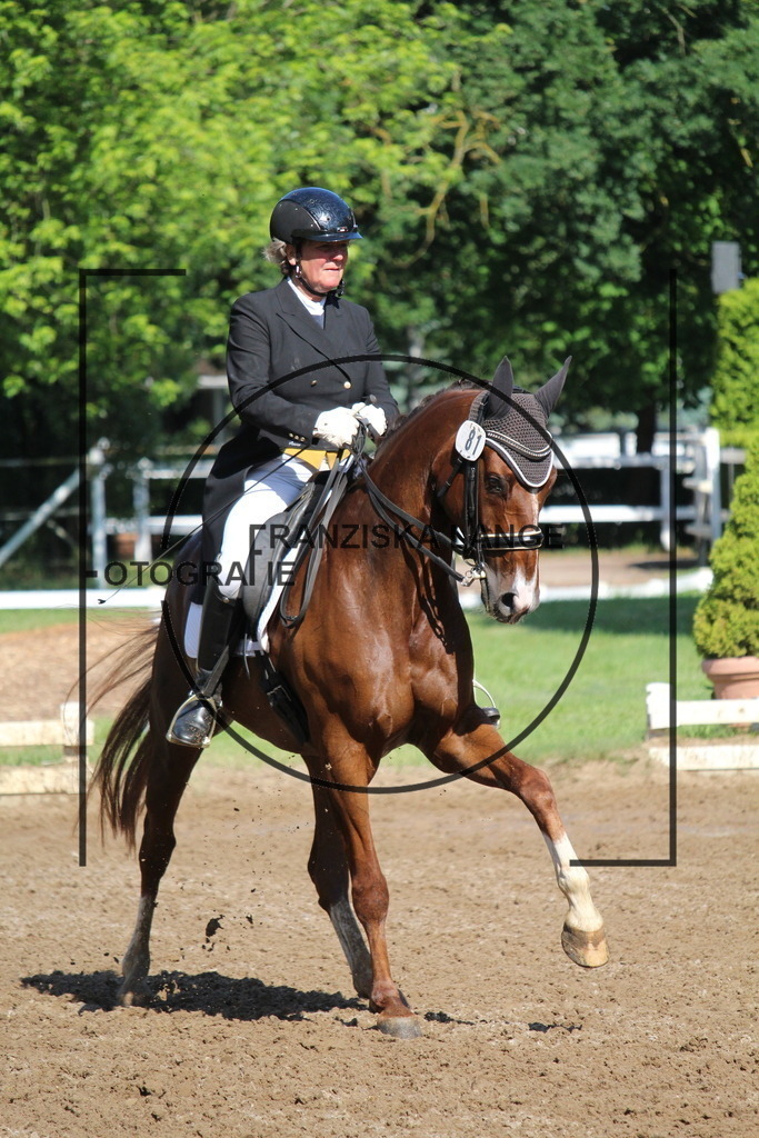 IMG_6559 | franziskalange - Realisiert mit Pictrs.com