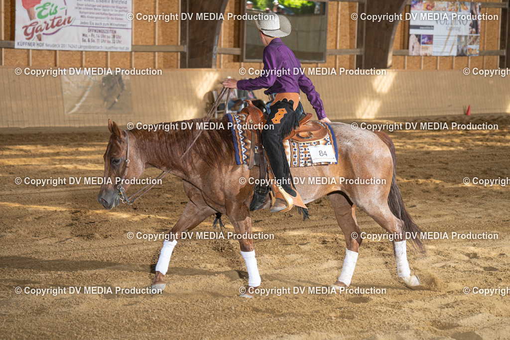 DSC00439 | dv-media-shop - Realisiert mit Pictrs.com