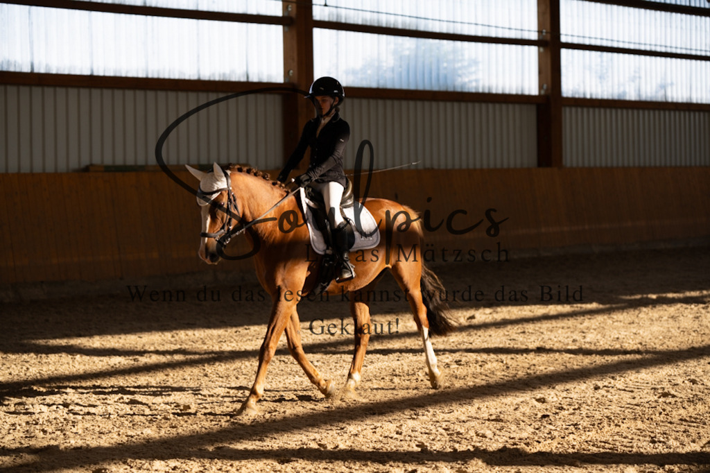 A7V01699 | Turnier/Reitfotograf