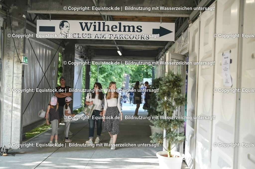 D78_3799 | equistock