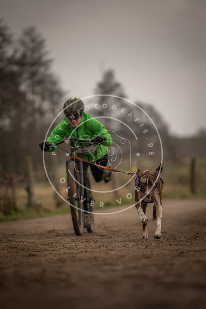 Pfotenfotografie_DV3A4050 | Hundefotografie, Tierfotograf, Pfotenfotografie, Fotoshooting Hund, Hunde Portrait, Hundesport, Hundeportraits, Heideshooting, Hunde, Sportfotograf, Hundefotograf, Turnierhundsport, THS,  - Realisiert mit Pictrs.com