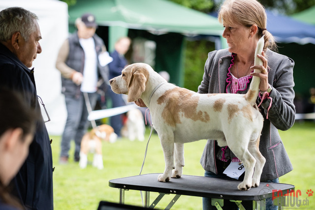 Clubsiegershow BCS  | Clubsiegershow BCS in Villmergen. 14.05.2023 Foto: Leo Wyden