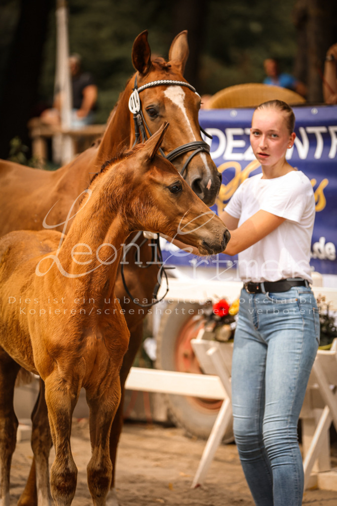 SaPA00199 | Leoni Ertmer Photography - Realisiert mit Pictrs.com