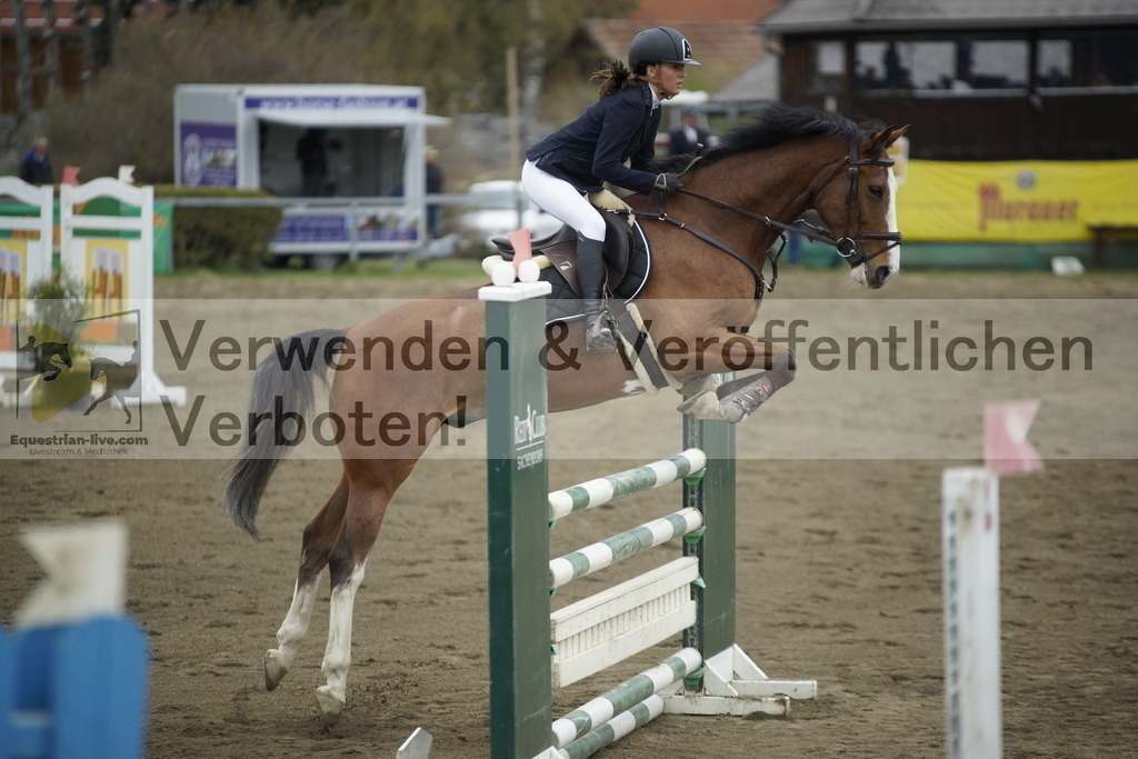 _DSC7238 | equestrian-live-com