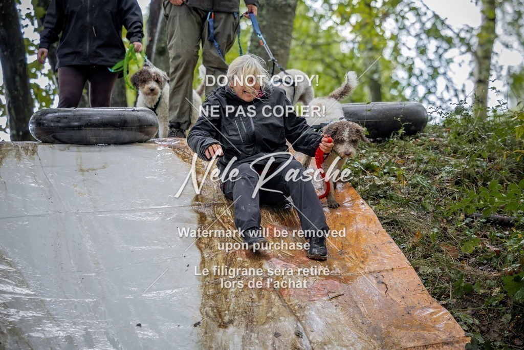 nelerasche_Hunsrück_Sa1430-1500_51-final | nelerasche