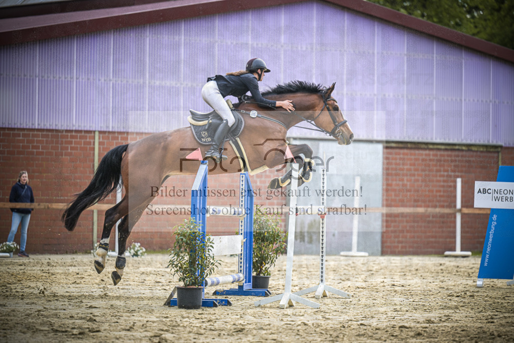 DOS_2531 | Entdecke hochwertige Reitturnierfotos von Foto Oger. Professionell, emotional und authentisch – jetzt Lieblingsmomente im Shop bestellen.Deutschlandweite Turnierfotografie. - Realisiert mit Pictrs.com