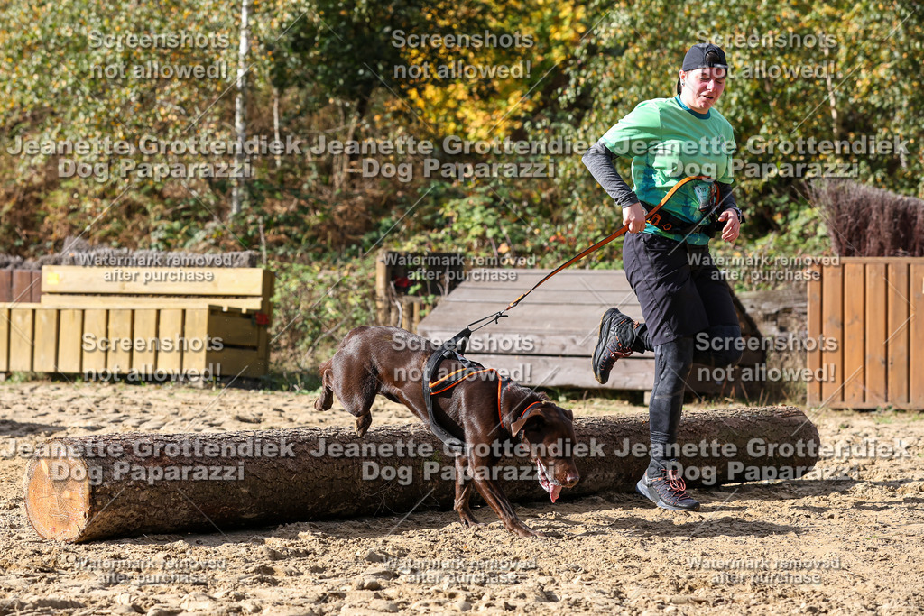 Dog Paparazzi - Strongdog 10-25-5235 | Dog Paparazzi Jeanette Grottendiek Fotografie & Videografie - Realisiert mit Pictrs.com