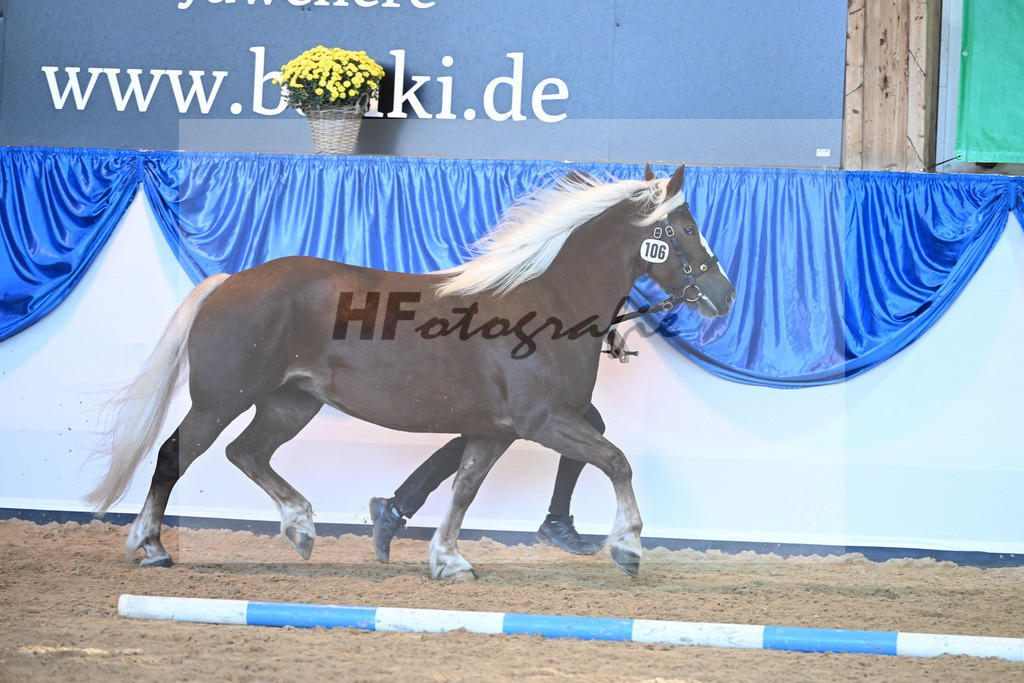 Kat-Nr. 106 Fennja_Reichmann_53220758 | hf-fotografie - Realizzato con Pictrs.com