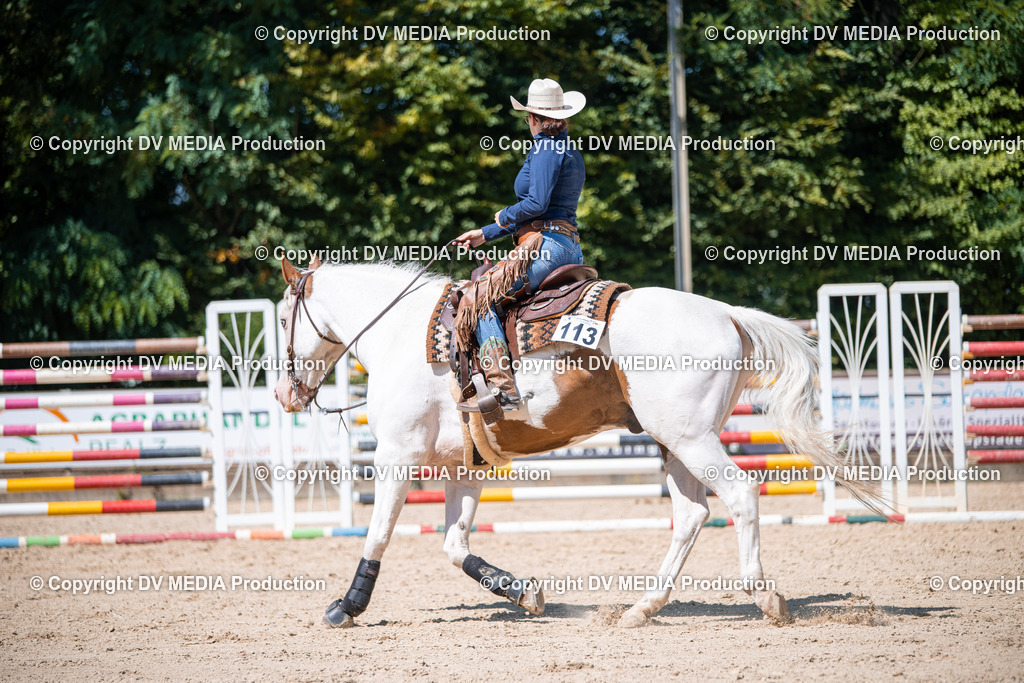 ZS1_1390 | dv-media-shop - Realisiert mit Pictrs.com