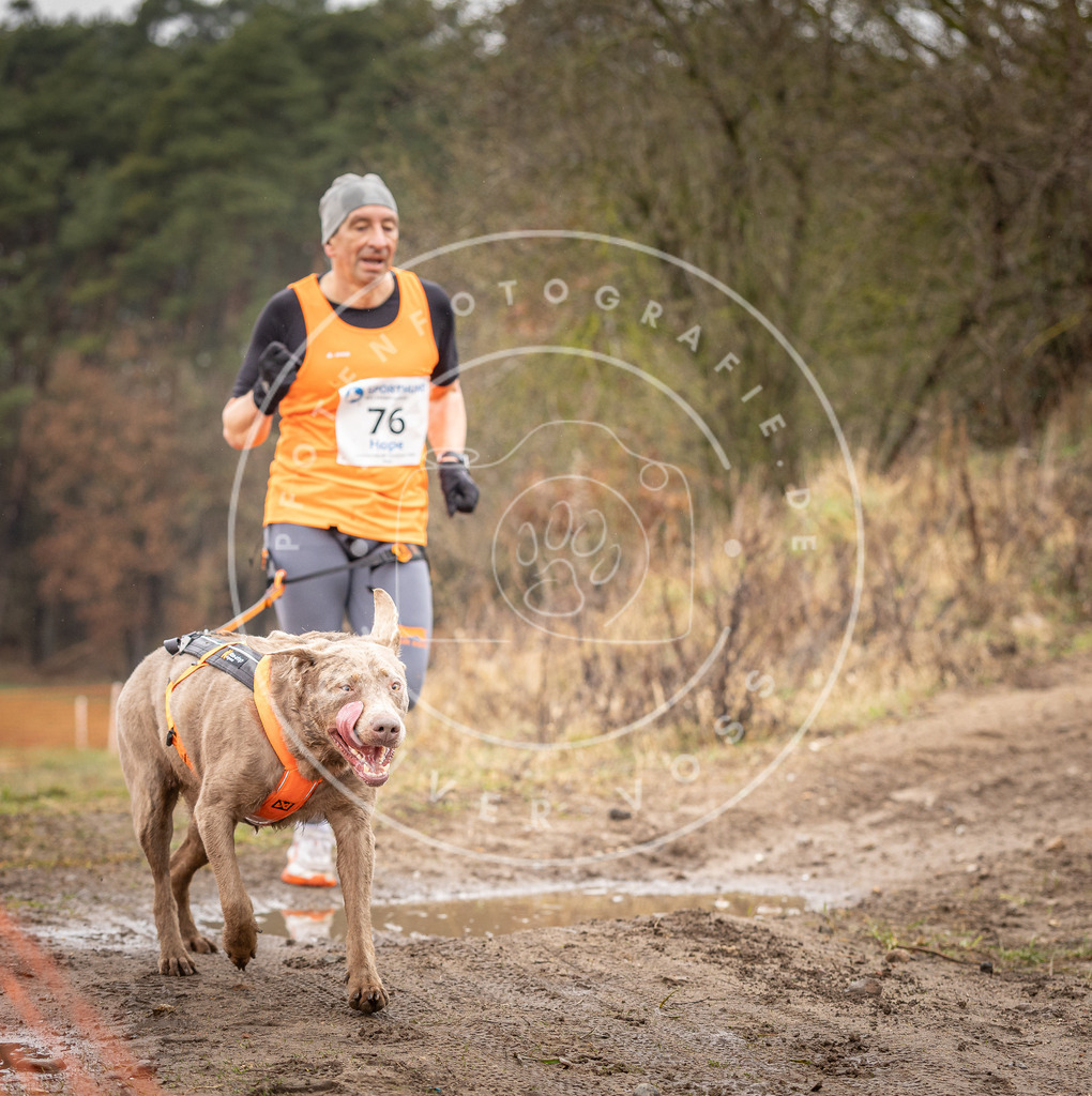 DV3A0305 | Hundefotografie, Tierfotograf, Pfotenfotografie, Fotoshooting Hund, Hunde Portrait, Hundesport, Hundeportraits, Heideshooting, Hunde, Sportfotograf, Hundefotograf, Turnierhundsport, THS,  - Realisiert mit Pictrs.com