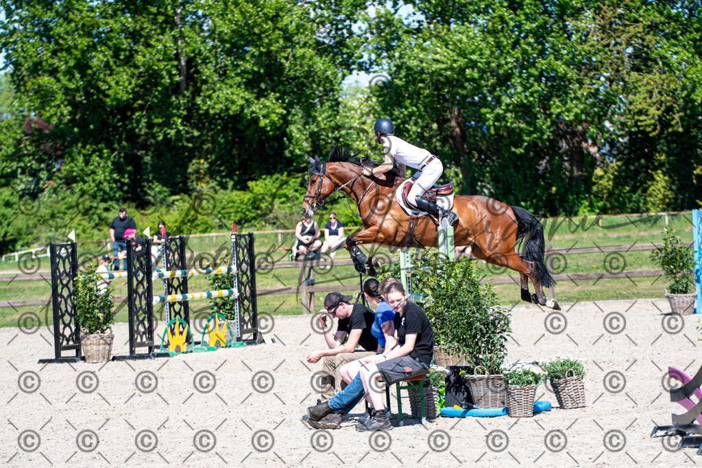 KPT_1200 | andre_photographic