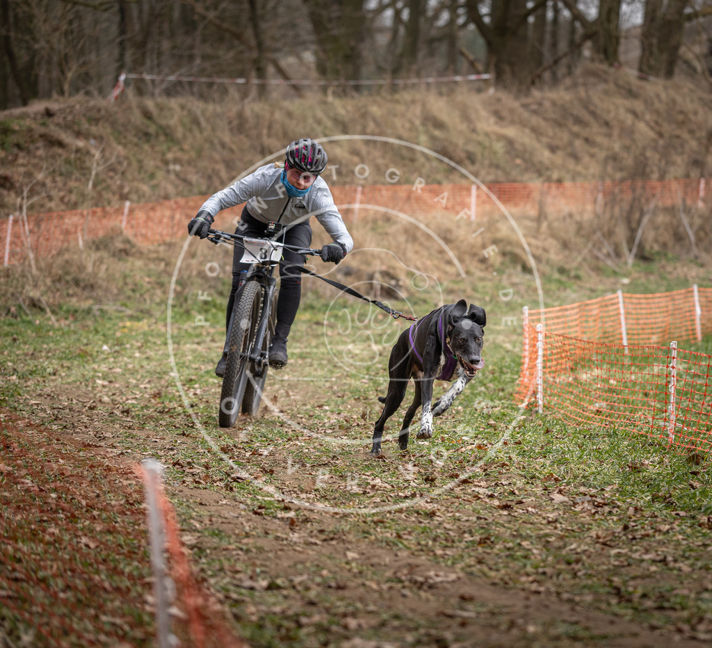 Pfotenfotografie_DV3A6555 | Hundefotografie, Tierfotograf, Pfotenfotografie, Fotoshooting Hund, Hunde Portrait, Hundesport, Hundeportraits, Heideshooting, Hunde, Sportfotograf, Hundefotograf, Turnierhundsport, THS,  - Realisiert mit Pictrs.com