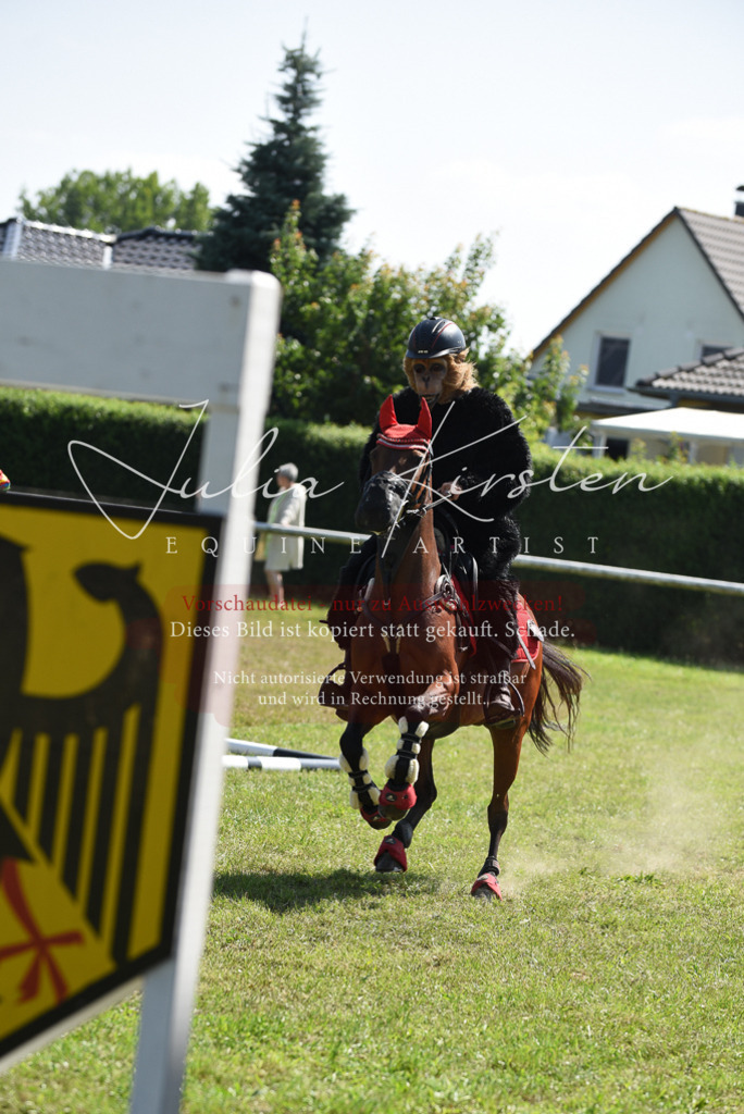 DSC_0304 | Pferde- und Turnierfotografie in Westsachsen. Pferdeportraits, Auftragszeichnungen und intuitive Kunst.