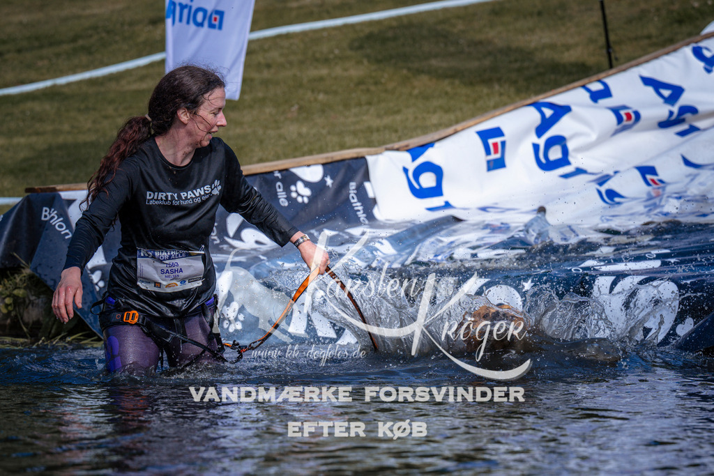 _ZZ990600816 | kk-dogfotos