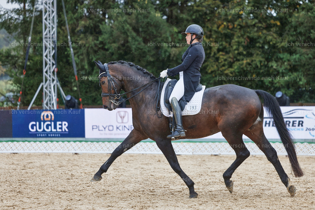 8_2-193-DRESSUR S_  -StoibPH-4510 | working equitationturnier fotograf videograf stoibphotography marixx film working equitation deutschland reitsport turnierfotografie eventfotografie equestrian events