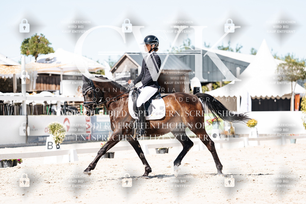 CK909606 | Turnierfotografie Pferdefotografie Trier Rheinland-Pfalz Pferdesport Reitsport Tierfotografie Sportfotografie Pferdevideo Pferdevideografie Equestrianvideography equestrianphotography  - Realisiert mit Pictrs.com
