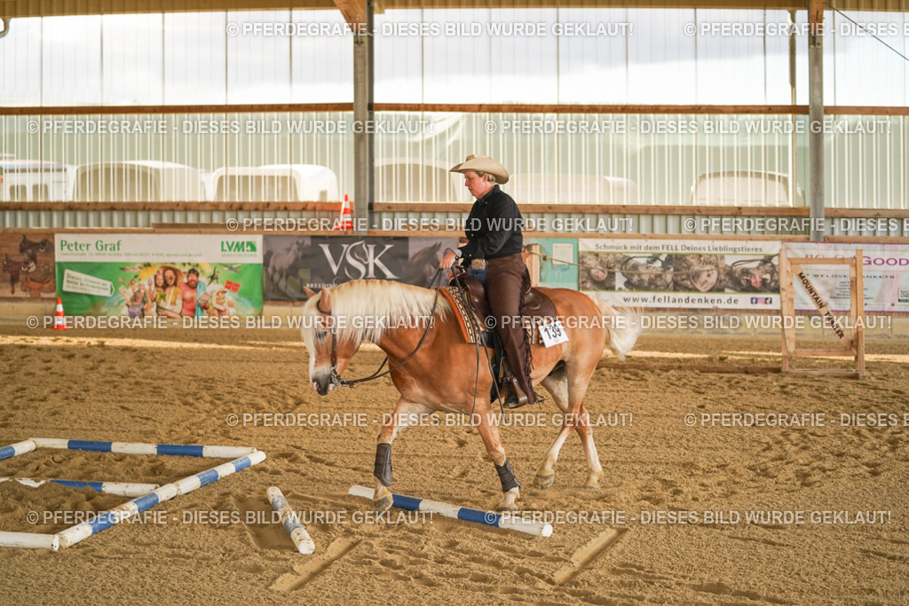 DSC00919 | Pferdegrafie