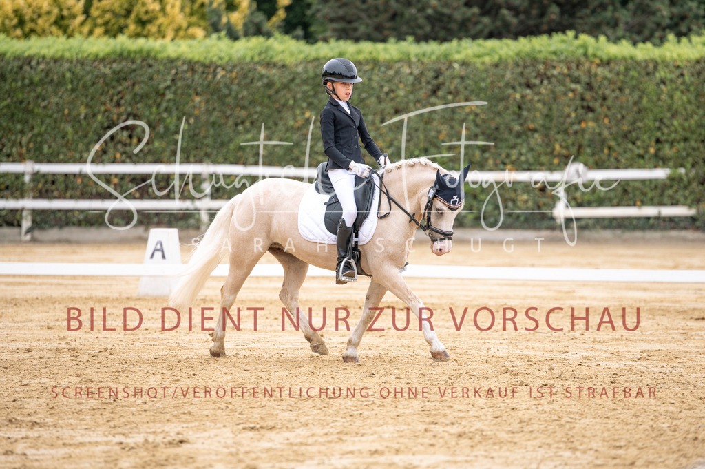 Schugtsche-Aluta25-40.DressurprfA_-470 | Schugtsche Fotografie - Realisiert mit Pictrs.com