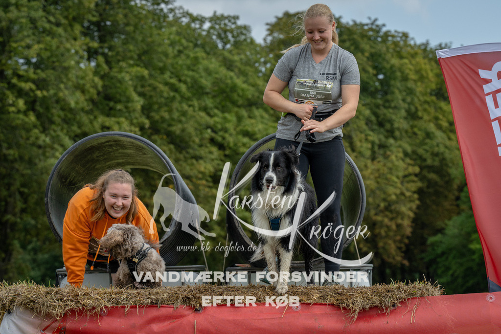 1149_ZZ90680 | kk-dogfotos