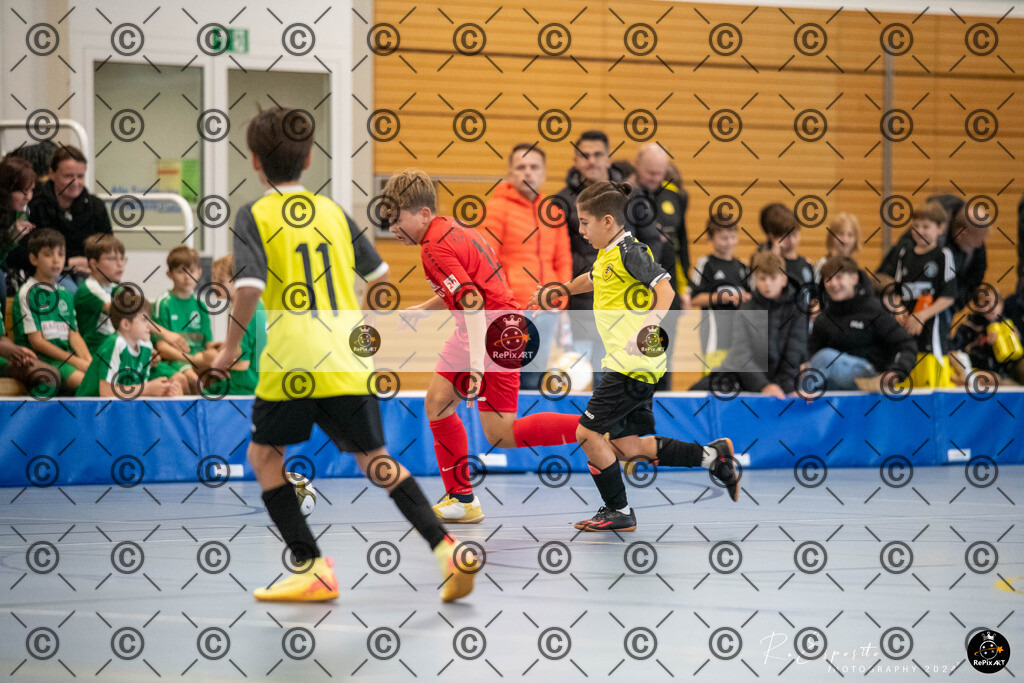 20241123_unbenannt_014 | Sport und Naturfotografie von Roberto Esposito zeigt echte Momente Bewegung und die Schönheit der Natur. Ausdrucksstarke Bilder schaffen Emotionen.