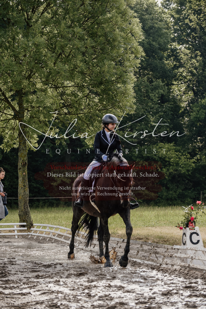 DSC_8559 | Pferde- und Turnierfotografie in Westsachsen. Pferdeportraits, Auftragszeichnungen und intuitive Kunst.