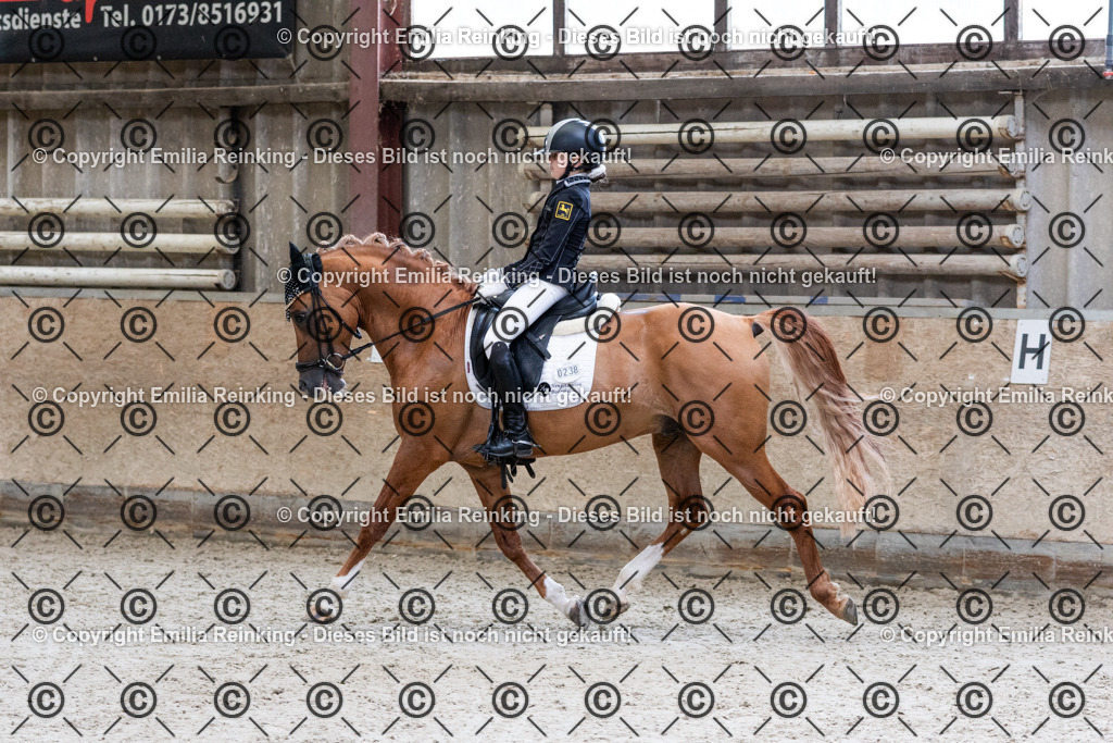 CL5A5230 | Emilia Reinking Fotografie - Realisiert mit Pictrs.com