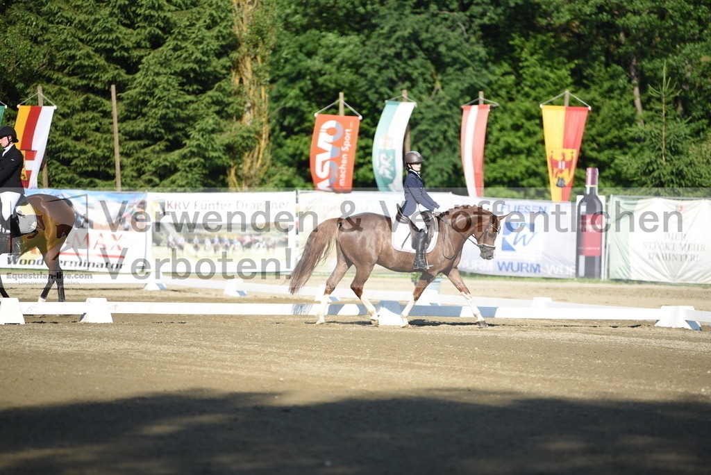 DSC_6774 | equestrian-live-com