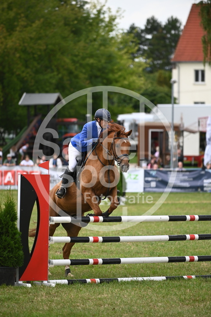 DSC_2539 | sattelsport - Realisiert mit Pictrs.com