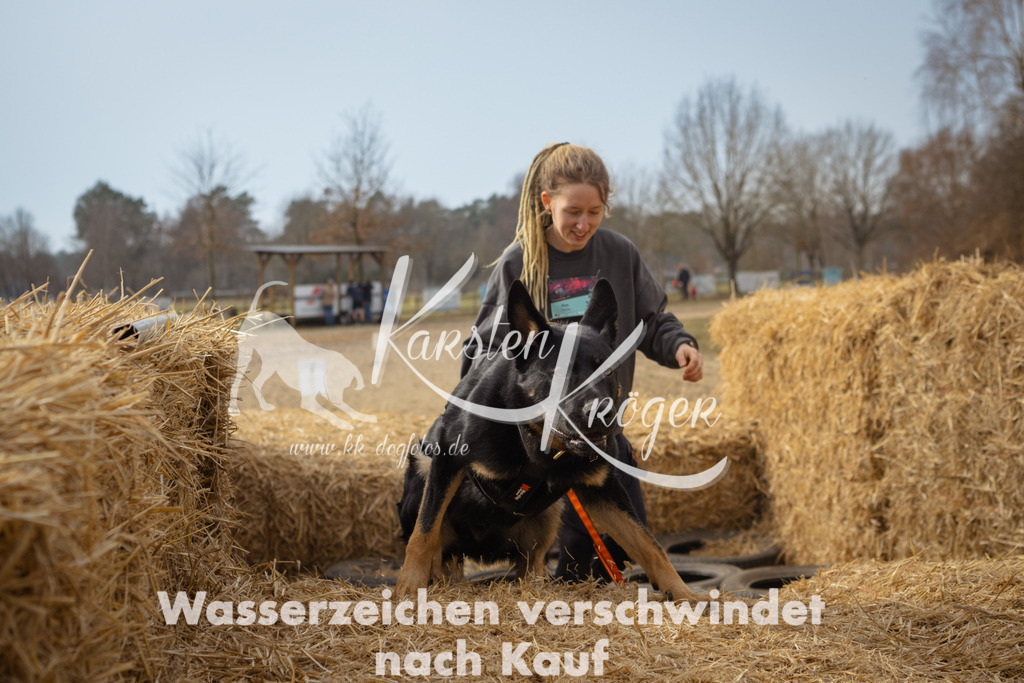 1118_ZZ92773 | kk-dogfotos