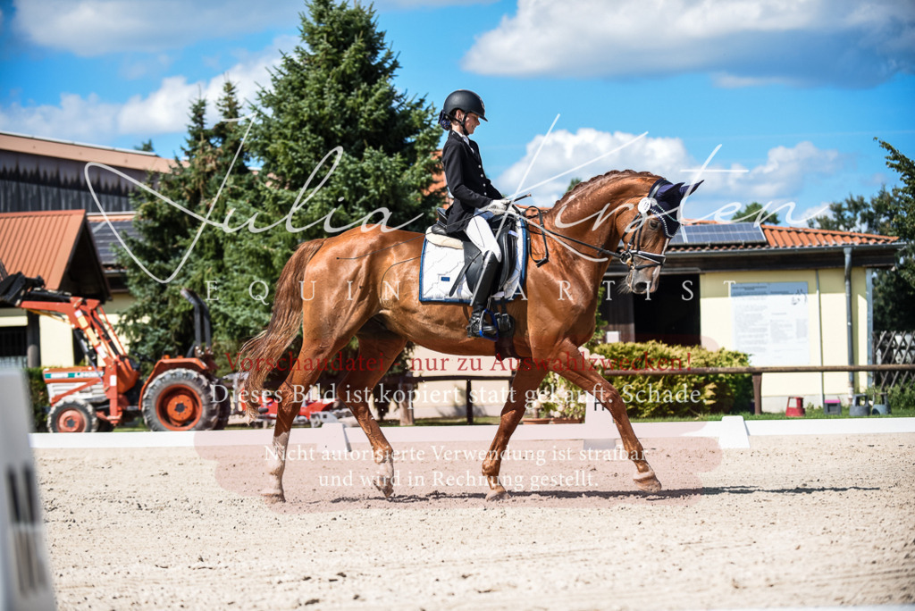 DSC_9511 | Pferde- und Turnierfotografie in Westsachsen. Pferdeportraits, Auftragszeichnungen und intuitive Kunst.