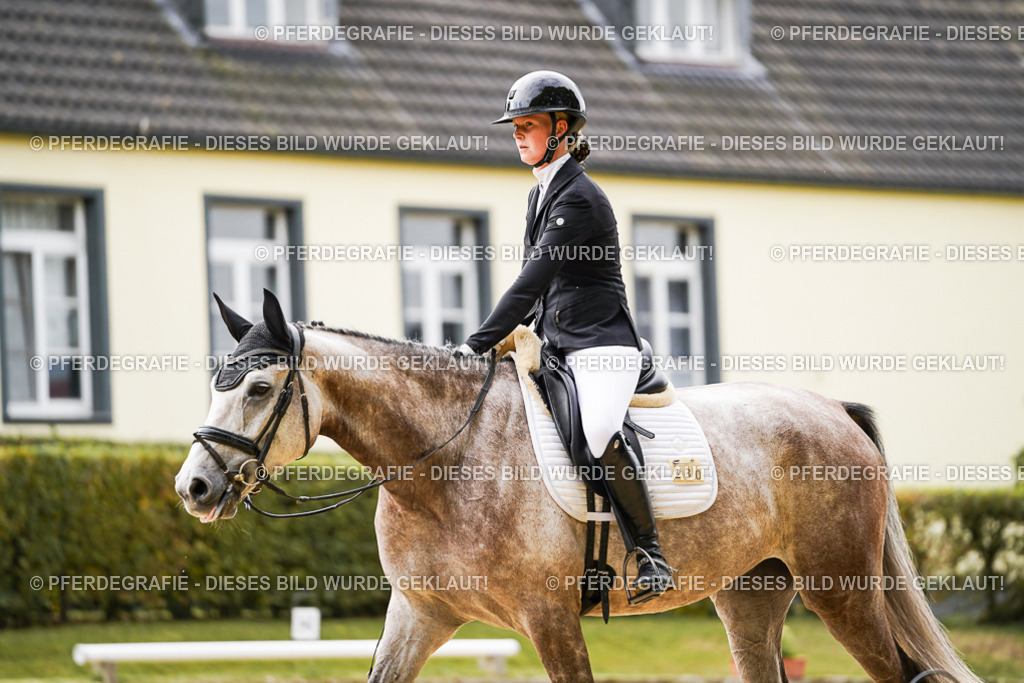 DSC01525 | Pferdegrafie