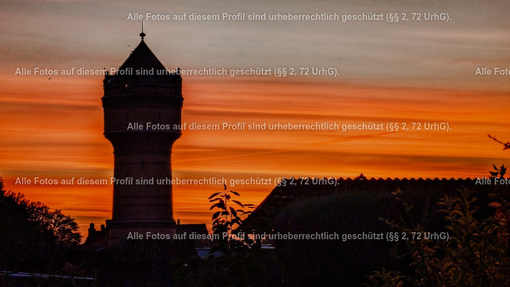 PXL_20241016_052424557_2 | krollfotografie - Realisiert mit Pictrs.com
