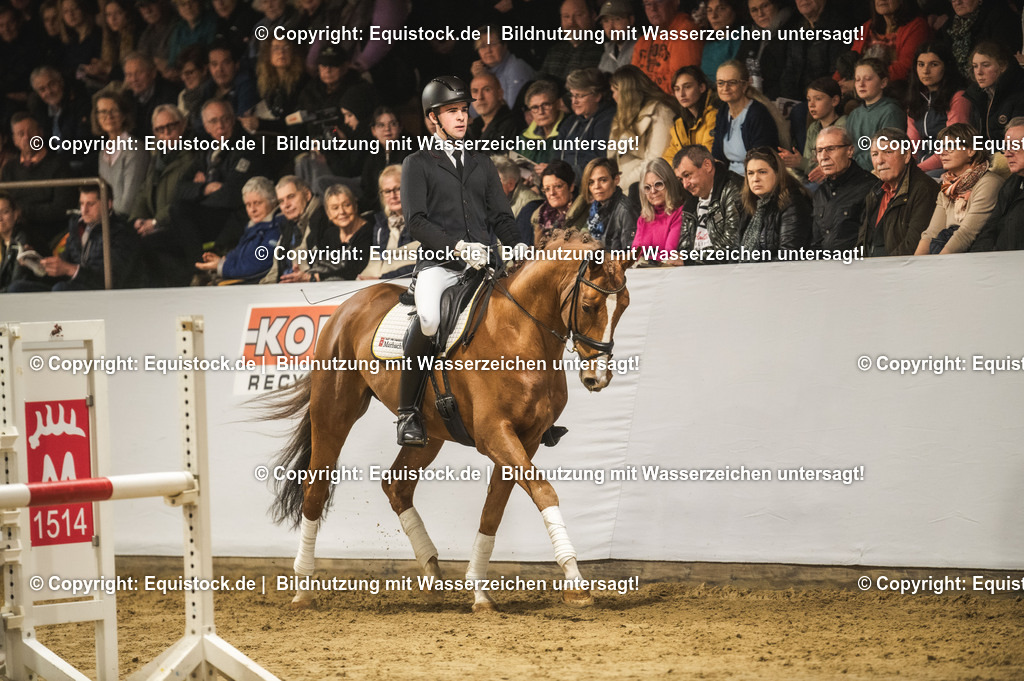 20240302_Hengstvorstellung_Marbach_TOMsPiC_0368 | equistock