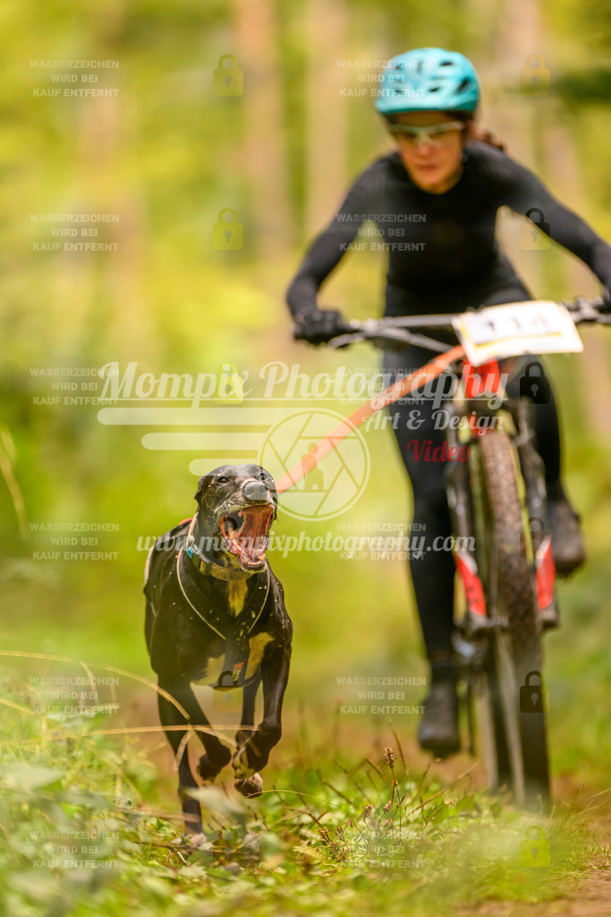 MompixPhotography_Yens2025_B2-130 | PayLife