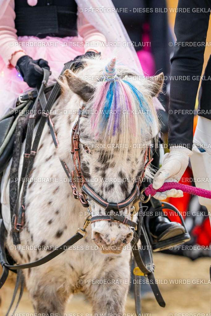 DSC00451 | Pferdegrafie