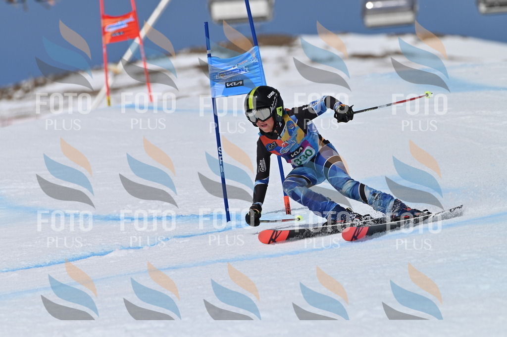 BGV_6546 | holidayphoto