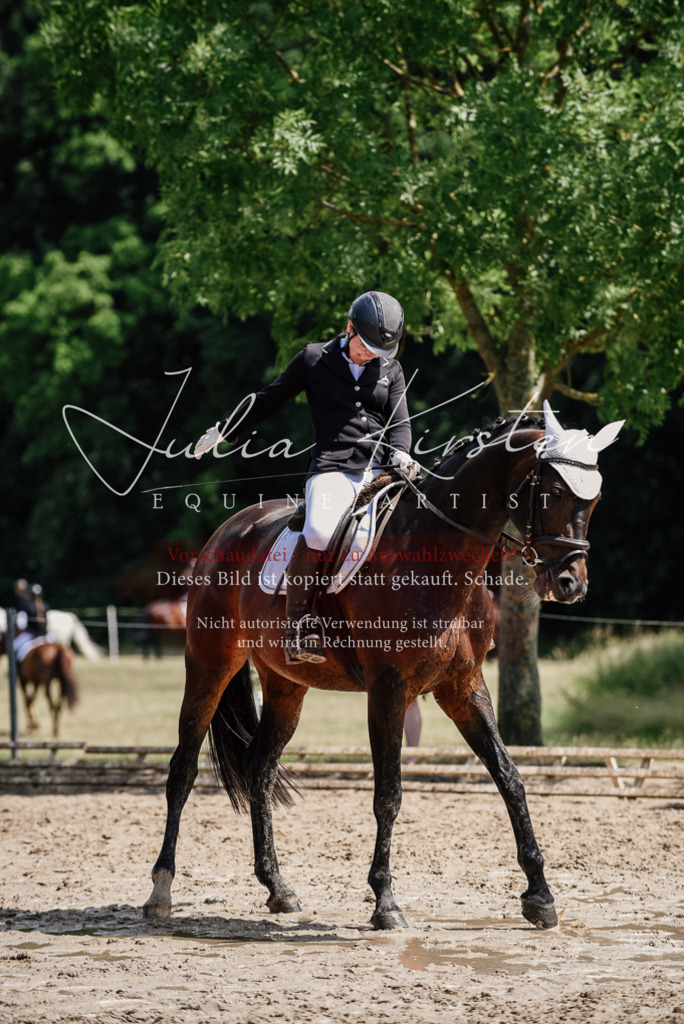 DSC_1105 | Pferde- und Turnierfotografie in Westsachsen. Pferdeportraits, Auftragszeichnungen und intuitive Kunst.