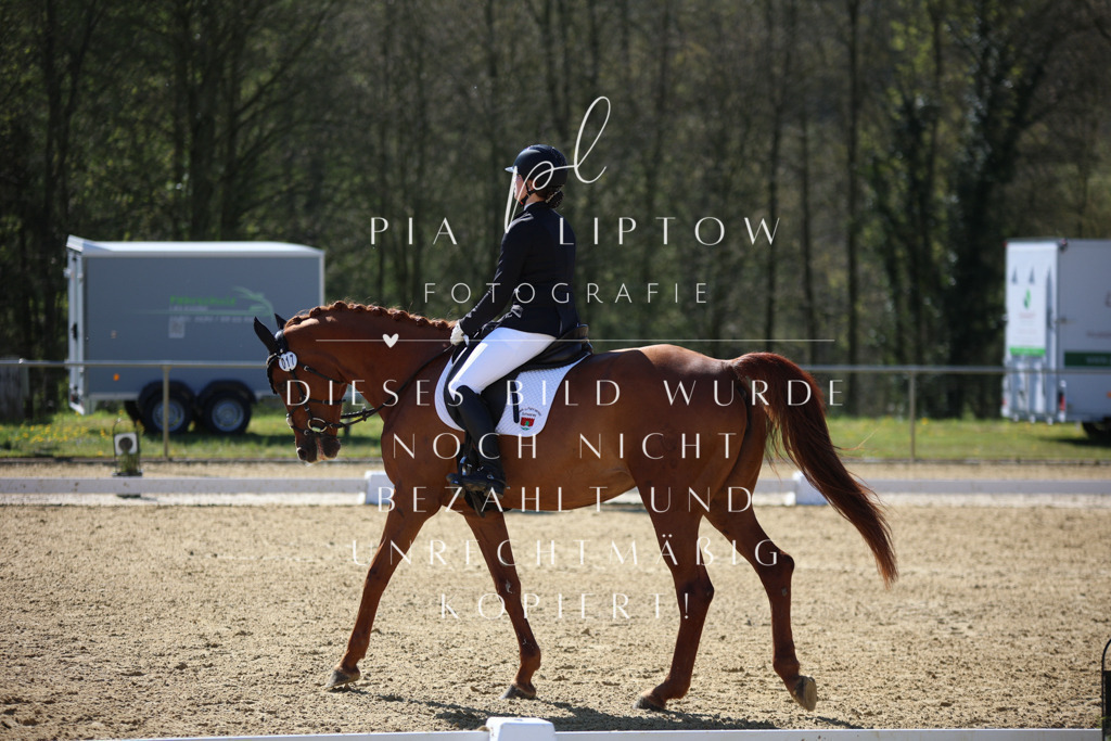 IMGT0358 | pl-fotografie