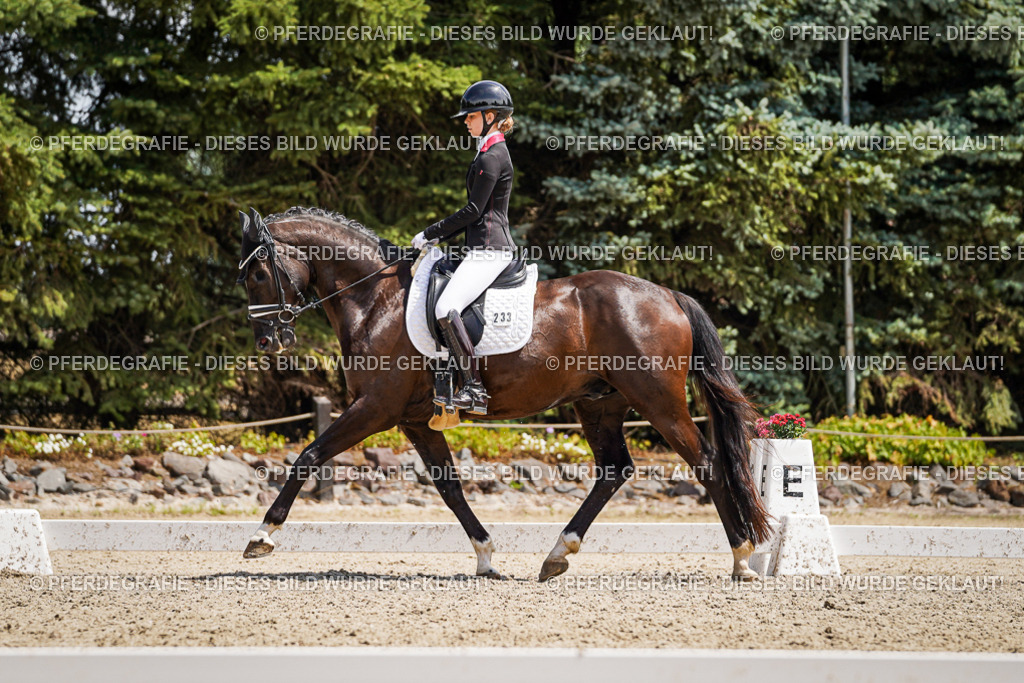 DSC01547 | Pferdegrafie