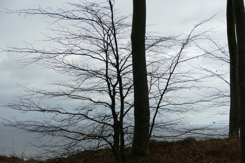 P1590066 | Annaeherungen - Realisiert mit Pictrs.com