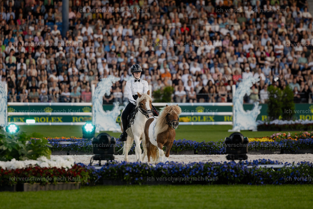 TSCHIO26_PferdundSinfonie_Stoibphotography_AM10802.jpg | working equitationturnier fotograf videograf stoibphotography marixx film working equitation deutschland reitsport turnierfotografie eventfotografie equestrian events