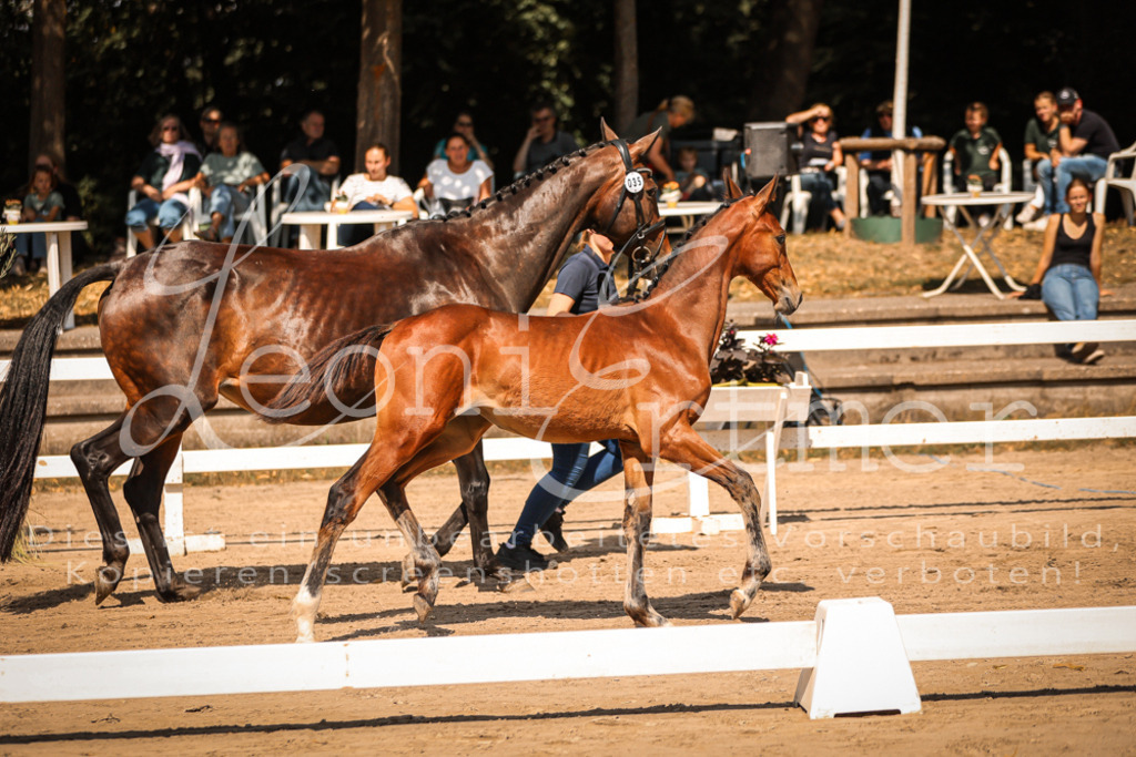 07.DoWBS00068 | Leoni Ertmer Photography - Realisiert mit Pictrs.com