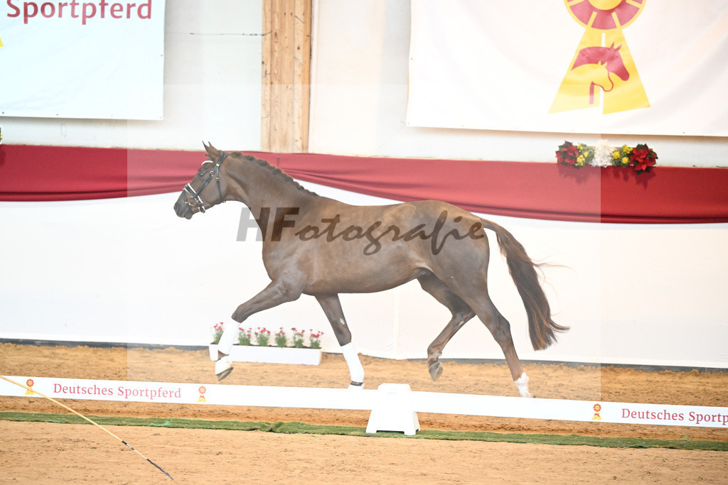 Kat-Nr. 41 Morricone I x De Niro_Kozok_43230513 | hf-fotografie - Realisiert mit Pictrs.com