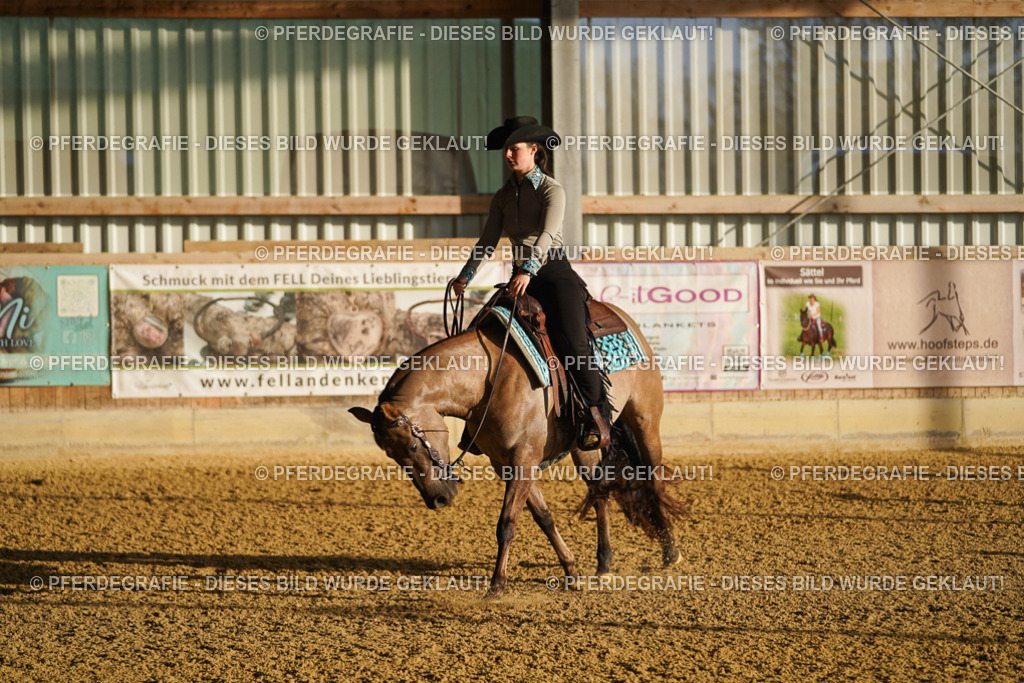 DSC07641 | Pferdegrafie