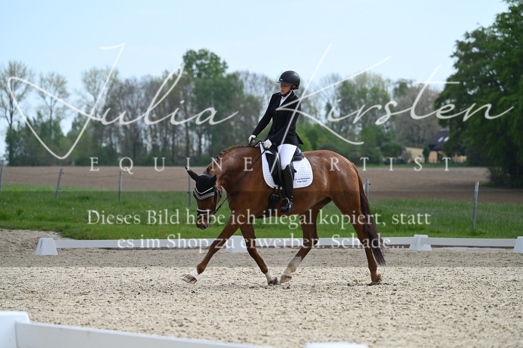 20230512_JK-Röhrsdorf-02-334 | Pferde- und Turnierfotografie in Westsachsen. Pferdeportraits, Auftragszeichnungen und intuitive Kunst.