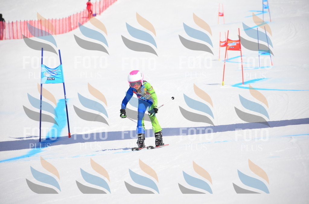 VR4_0024 | holidayphoto