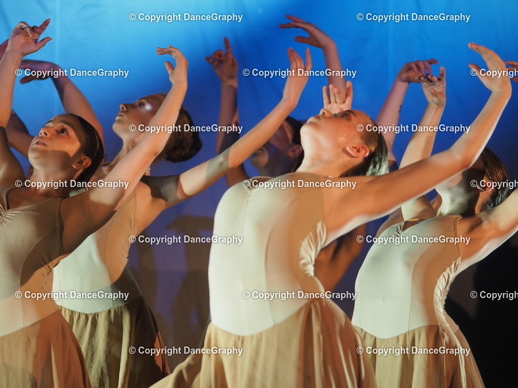 P6280100 | DanceGraphy - Realisiert mit Pictrs.com